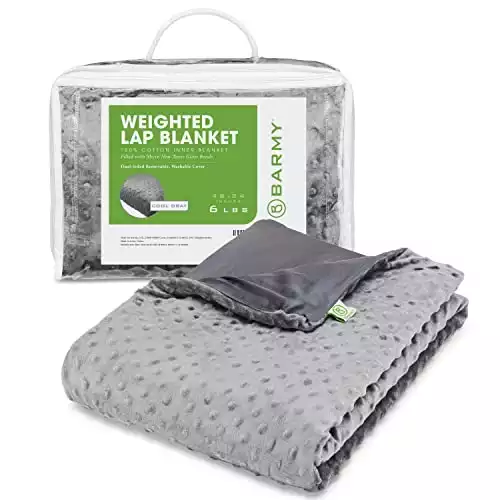 BARMY Weighted Lap Blanket